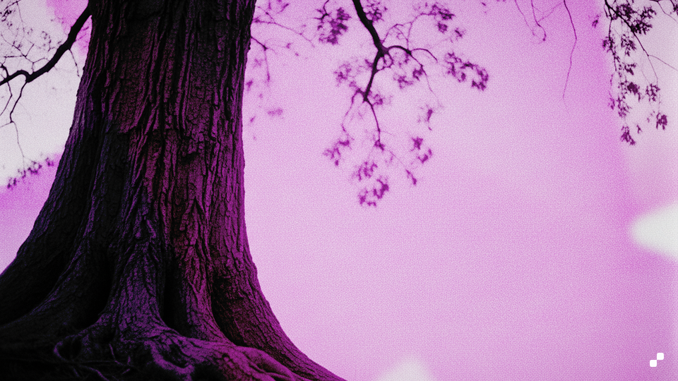 Marketing reflects internal clarity.